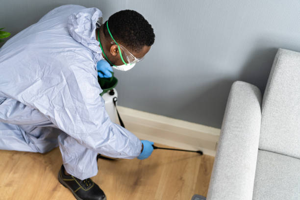 Best Fumigation Services  in Benton Harbor, MI